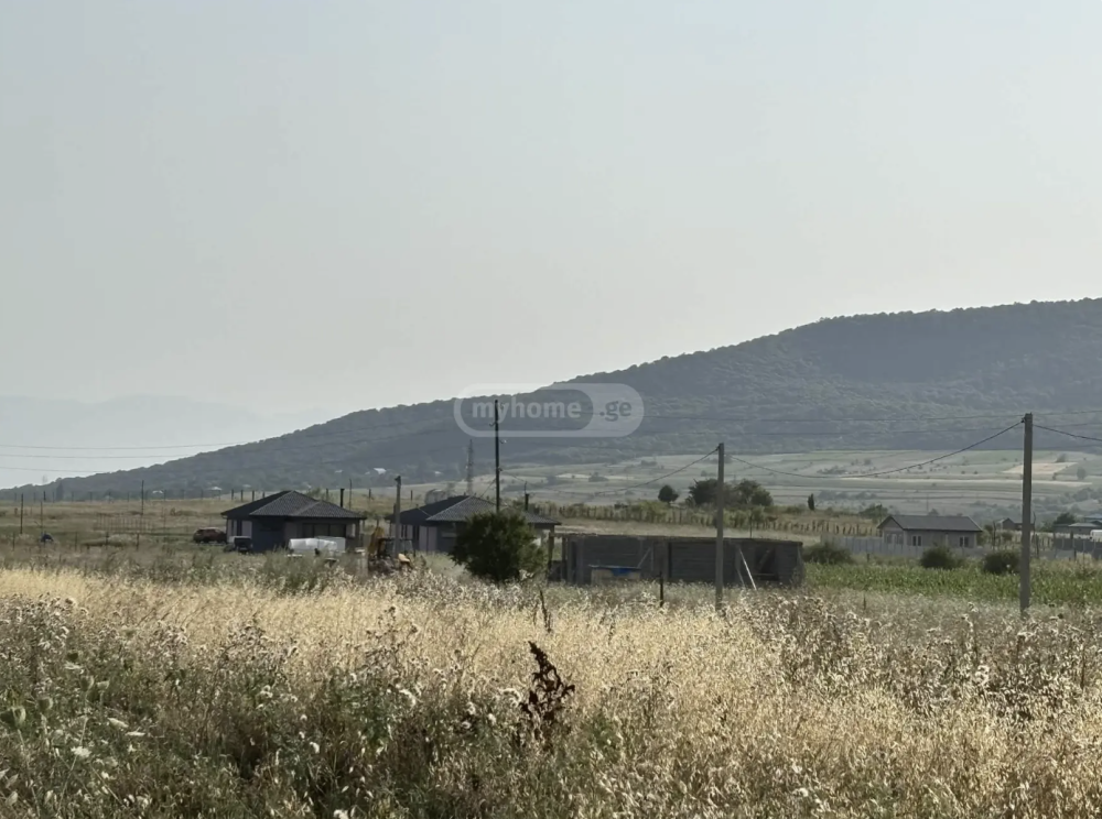 იყიდება სასოფლო სამეურნეო მიწის ნაკვეთი დუშეთის მუნივიპალიტეტში